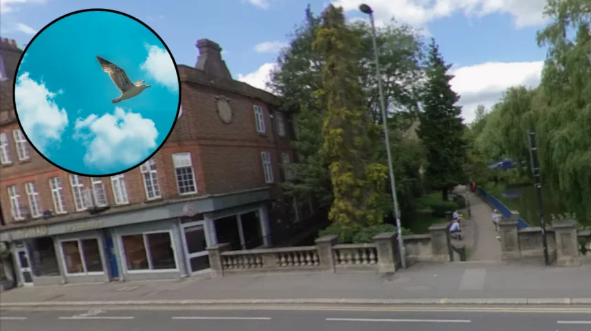 New plan of clean air target for Oxford Council 2026