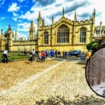 Pictures of snowdrop blooms in Oxfordshire woods