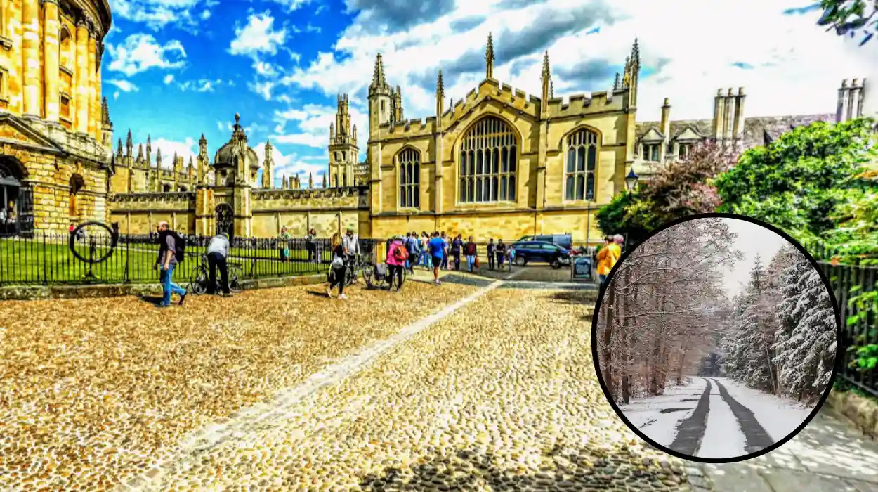 Pictures of snowdrop blooms in Oxfordshire woods