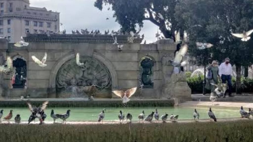 All Souls College Gothic Secrets
