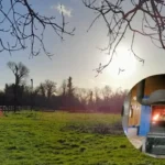 Owner Hits 'Misinfo' as Stove Biz Fails, Cowley 2026 