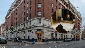 4-Star Hotel Books Record Dogs, Oxfordshire 2026