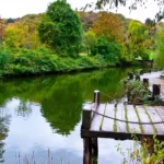 Best Family-Friendly Punting Tips for Your River Trip