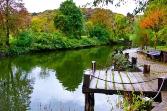 Best Family-Friendly Punting Tips for Your River Trip