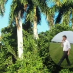 Royal Fixation Eyes Sprints in Trials, Oxford 2026