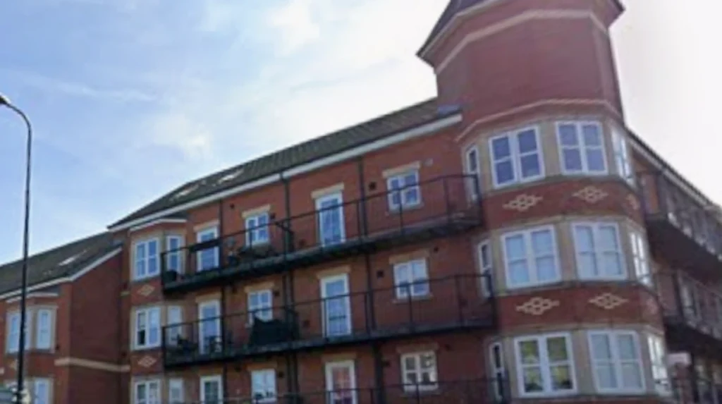 Scholarly Perspectives and Academic Insights