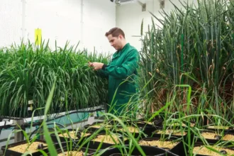 Wild Bioscience expands at Milton Park with £45m funding