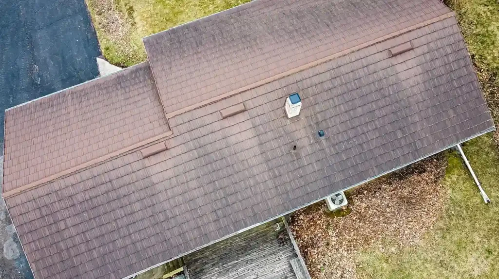 Punting Picnic Ideas and Spots: The Ultimate Guide to River Dining