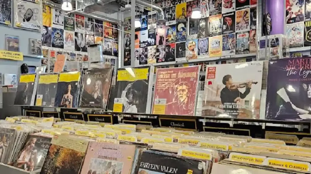 Where Can Vinyl Fans Find the Best Independent Record Stores?
