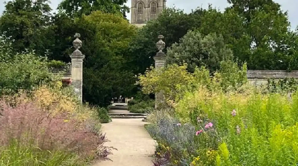 How Can a Botanic Garden Rare Plant Guide Protect Biodiversity