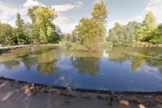 Complete University Parks Wildlife Spotting Guide Where, When, and What to See