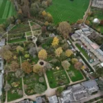 Inside Magdalen College Deer Park History, Ecology, Deer, and Conservation Practices