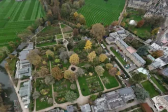 Inside Magdalen College Deer Park History, Ecology, Deer, and Conservation Practices