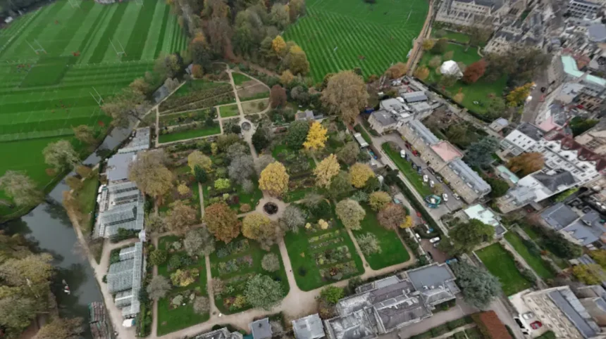 Inside Magdalen College Deer Park History, Ecology, Deer, and Conservation Practices