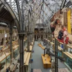 Museum of Oxford Named Best Free Family