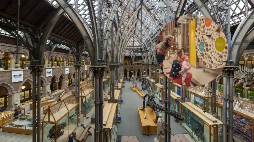 Museum of Oxford Named Best Free Family