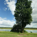 Oxford Riverside Meadows for Picnics Best Spots, Access, and History
