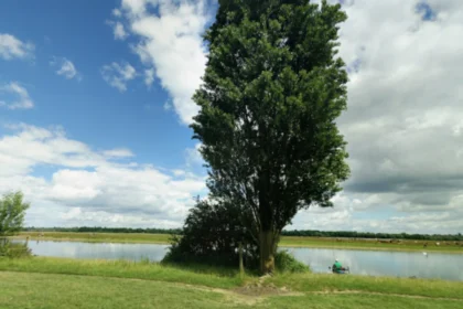 Oxford Riverside Meadows for Picnics Best Spots, Access, and History