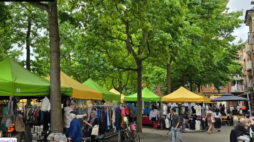 Where Can You Find the Best Cheese Stalls in Oxford's Covered Market?
