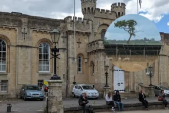 Oxfordshire Renewable Energy Consultation Opens for Public Input