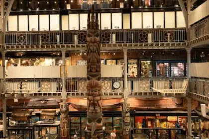 Pitt Rivers Museum's eccentric collections