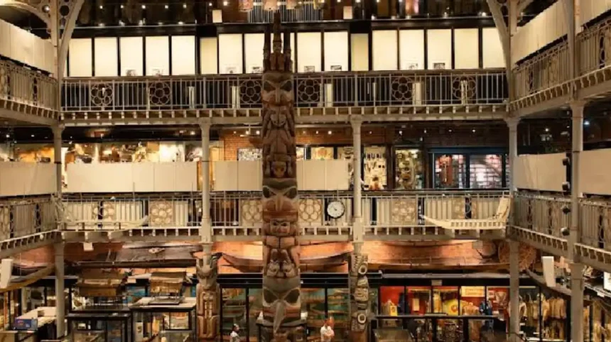 Pitt Rivers Museum's eccentric collections