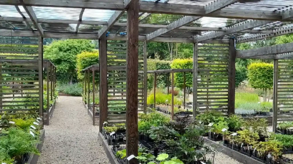 How Can a Botanic Garden Rare Plant Guide Protect Biodiversity
