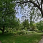 University College Rose Garden Oxford History, Features, and Visitor Guide