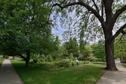 University College Rose Garden Oxford History, Features, and Visitor Guide