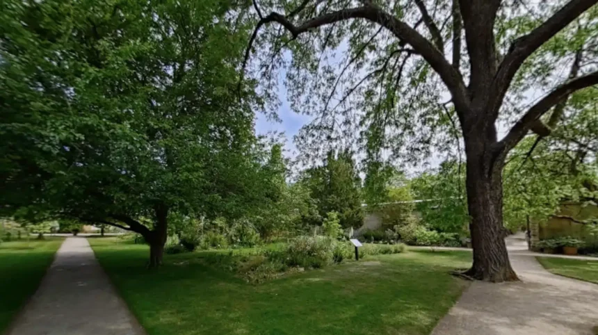 University College Rose Garden Oxford History, Features, and Visitor Guide