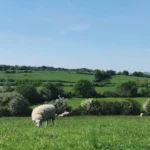 What Is Boars Hill Oxford History, Poets, And Nature Guide