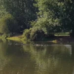What makes a B&B with river views in Oxford special