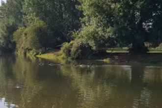 What makes a B&B with river views in Oxford special
