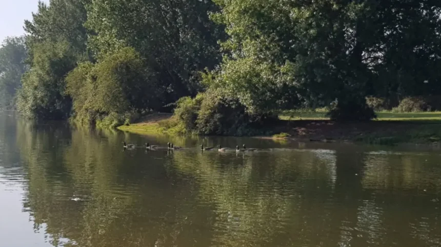 What makes a B&B with river views in Oxford special