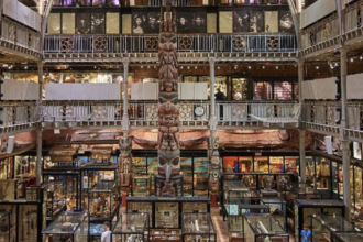 When Are Museums Free and How Can You Access Them Throughout the Year