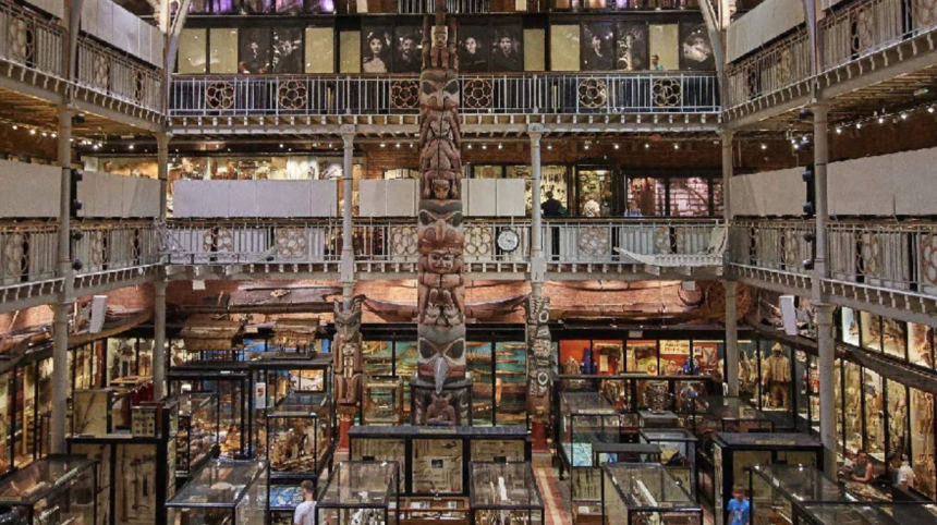 When Are Museums Free and How Can You Access Them Throughout the Year
