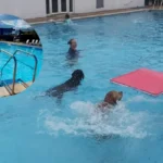 Woodstock Open Air Pool