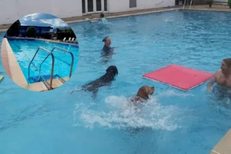 Woodstock Open Air Pool