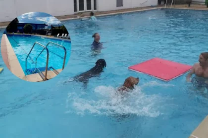 Woodstock Open Air Pool