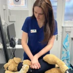 Oxford’s First 24-Hour Emergency Vet Hospital