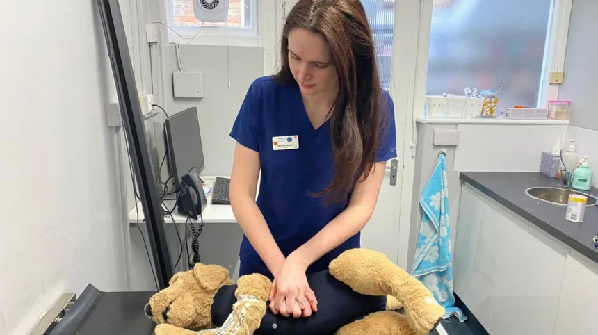 Oxford’s First 24-Hour Emergency Vet Hospital