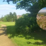 Oxford’s Greater Leys Secures £20m for Long-Term Renewal
