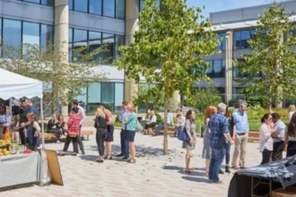 What Is The Oxford Business Park And Why Is It A Major Hub