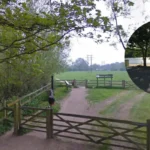 Witney Lake Celebrates Tern Pair Return as Oxfordshire Nature