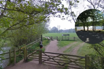 Witney Lake Celebrates Tern Pair Return as Oxfordshire Nature