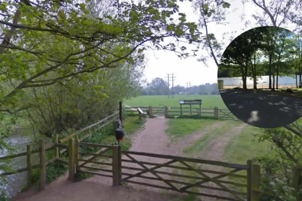 Witney Lake Celebrates Tern Pair Return as Oxfordshire Nature