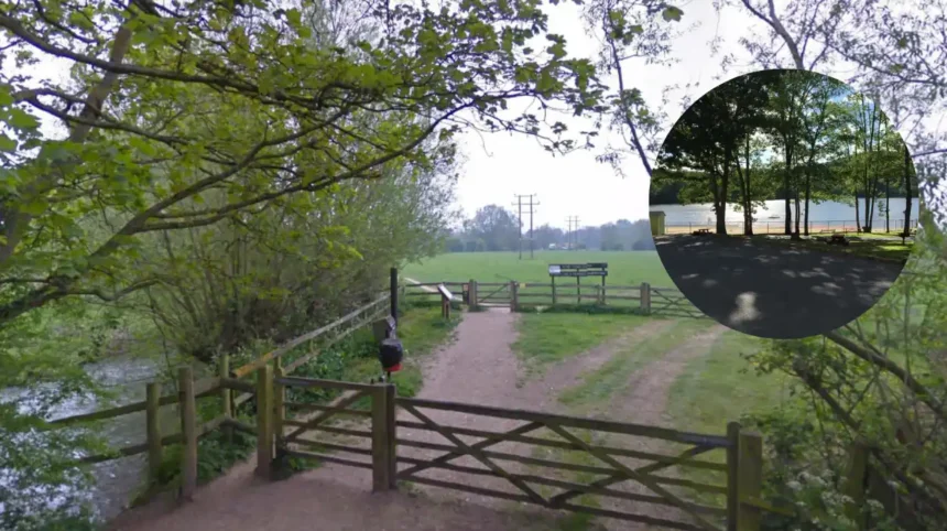 Witney Lake Celebrates Tern Pair Return as Oxfordshire Nature