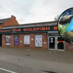 Historic Goldfish Bowl Aquatics Store Closes: Oxford 2026