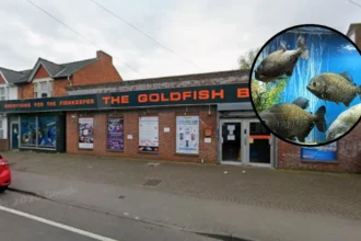 Historic Goldfish Bowl Aquatics Store Closes: Oxford 2026