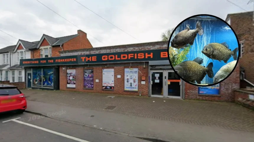 Historic Goldfish Bowl Aquatics Store Closes: Oxford 2026